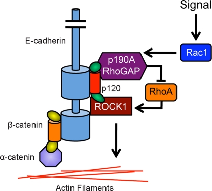 FIGURE 9: