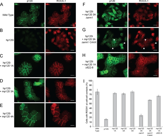 FIGURE 6: