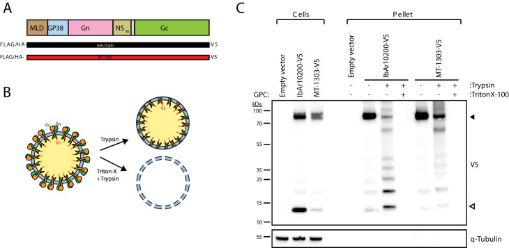 Figure 3.