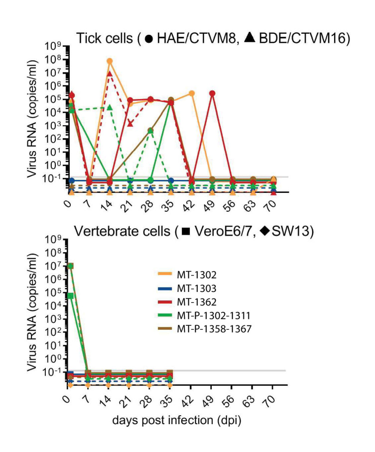 Figure 1—figure supplement 2.