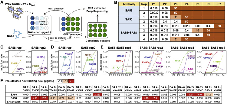 Figure 4