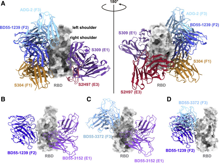 Figure 2