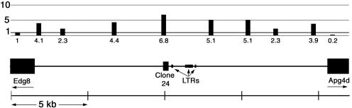 FIG. 3.