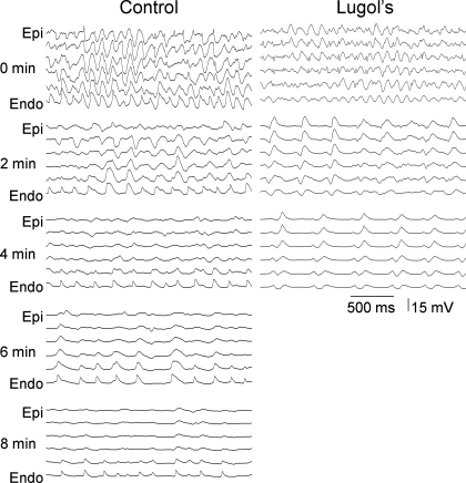 Fig. 4.