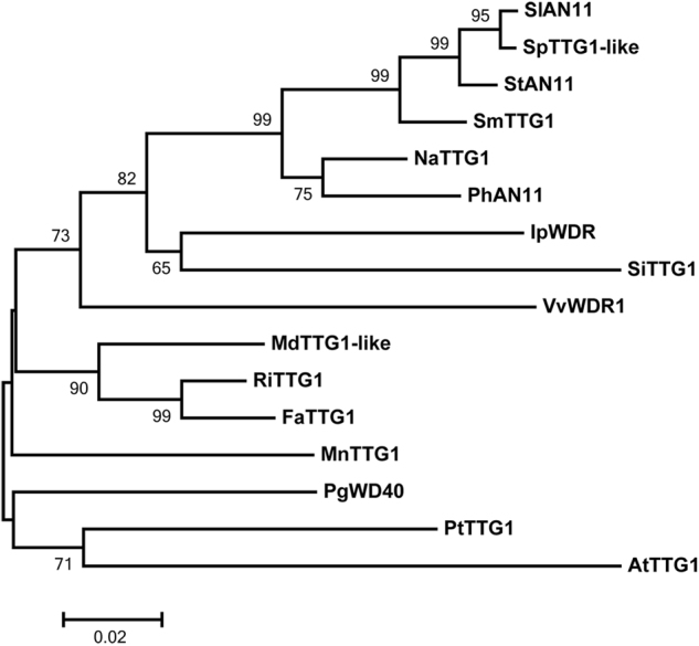 Fig. 2