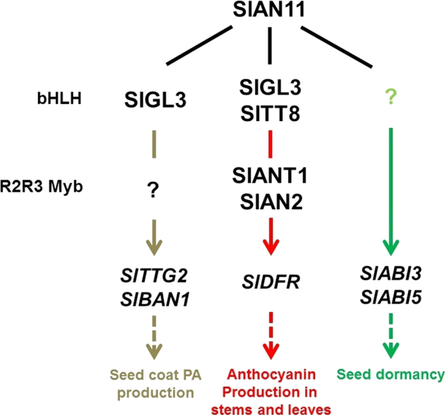 Fig. 12