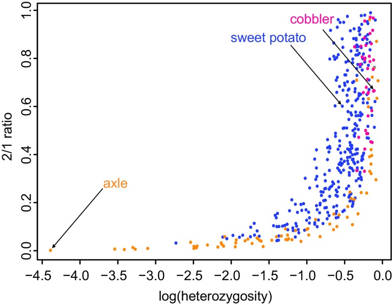 Fig. 2.