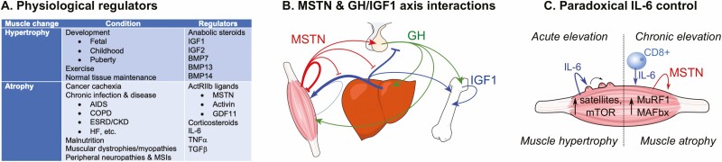 Figure 2.