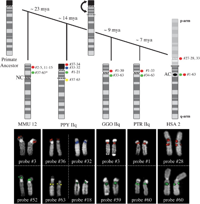 Fig. 2.