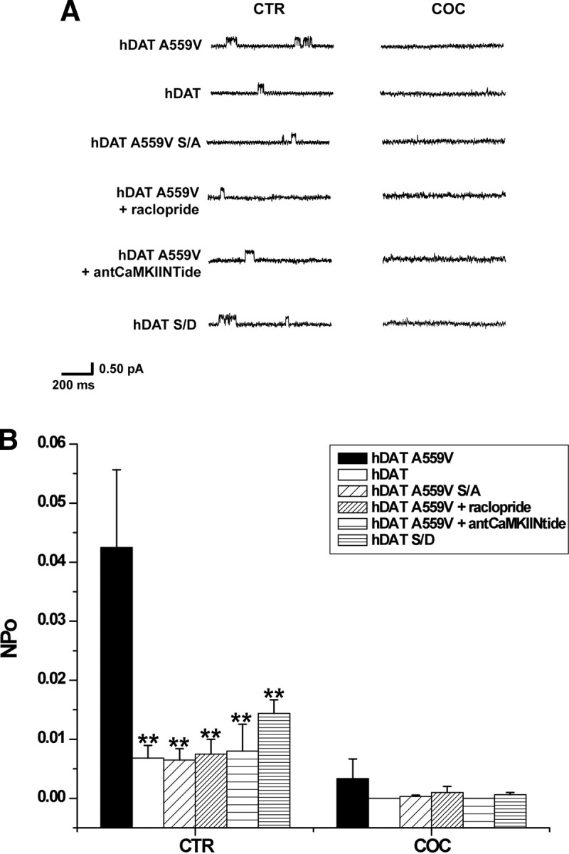 Figure 5.