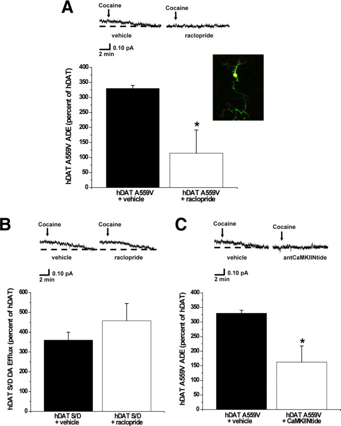 Figure 6.