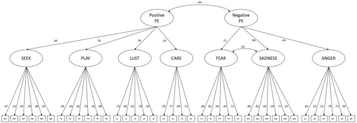FIGURE 1
