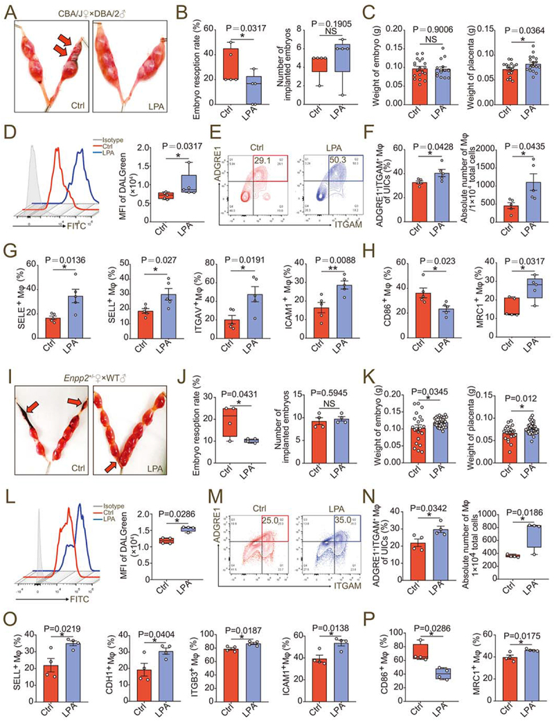 Figure 9.