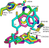 FIGURE 11