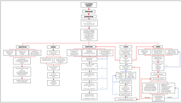 Supplementary Fig. 1