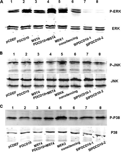 Figure 12.