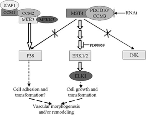 Figure 15.