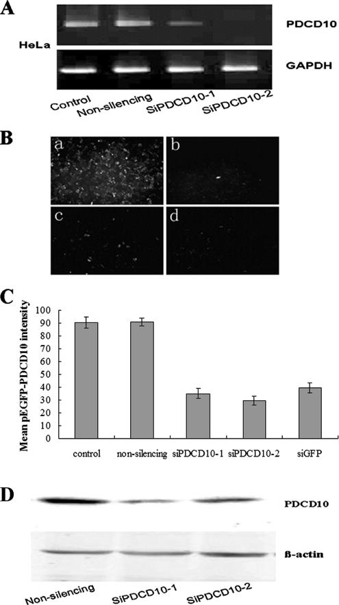 Figure 4.