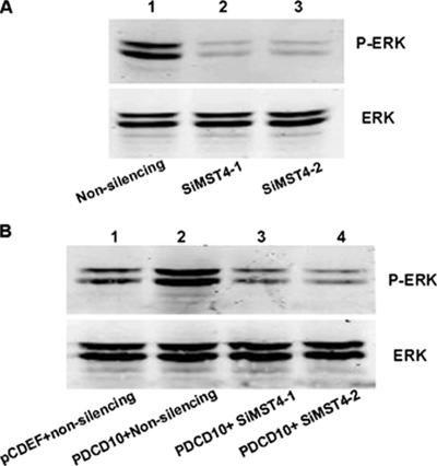 Figure 13.