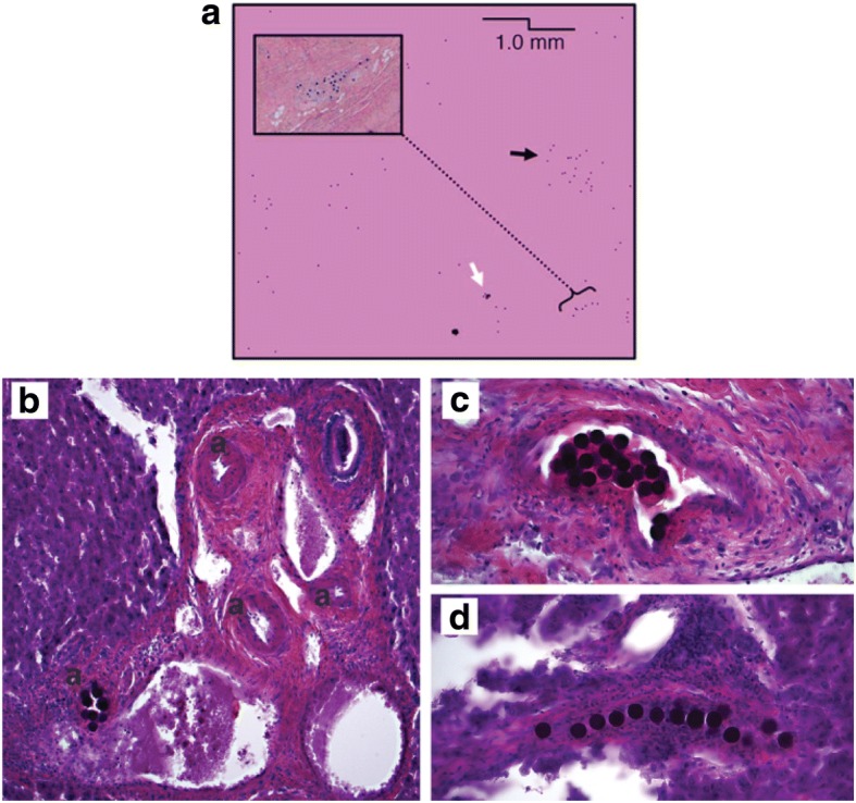 Fig. 6