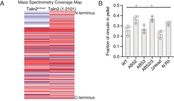 Figure 3—figure supplement 3.