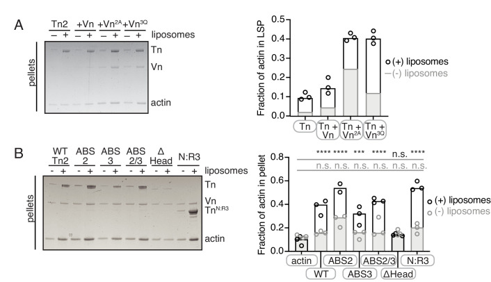 Figure 6—figure supplement 1.