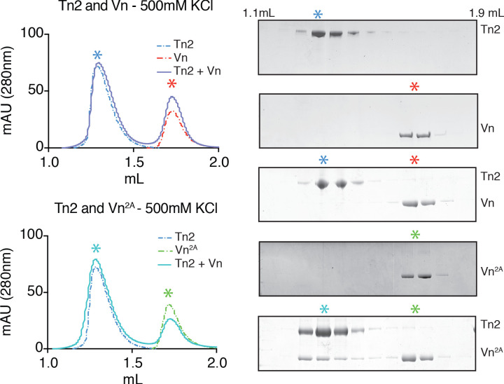 Figure 1—figure supplement 2.