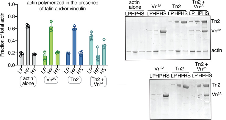 Figure 2—figure supplement 1.