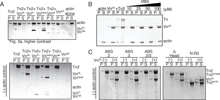 Figure 3—figure supplement 2.