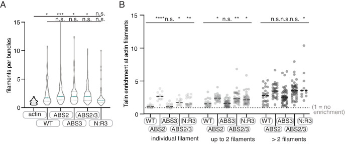 Figure 3—figure supplement 4.