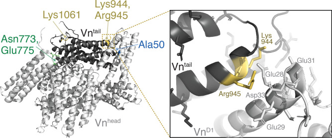 Figure 5—figure supplement 2.