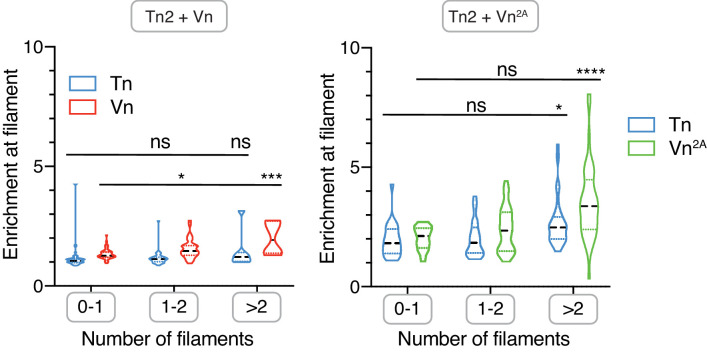 Figure 1—figure supplement 3.