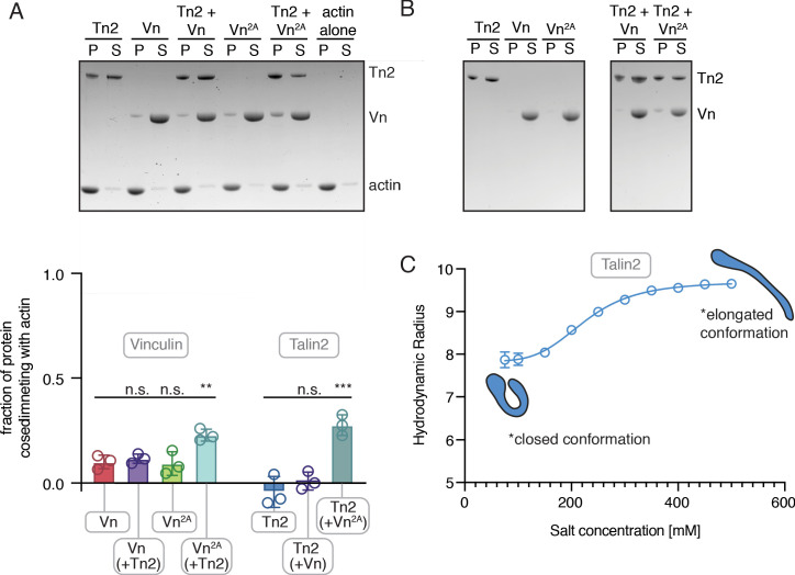 Figure 1—figure supplement 4.