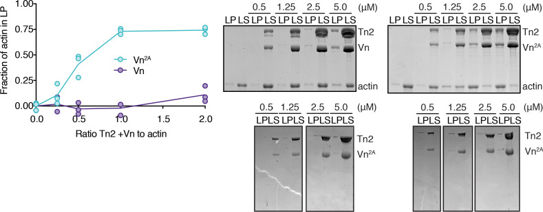 Figure 2—figure supplement 2.