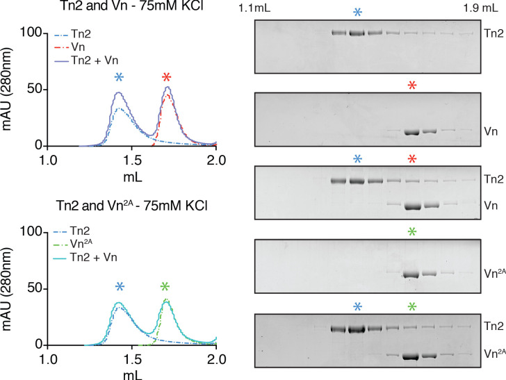 Figure 1—figure supplement 1.