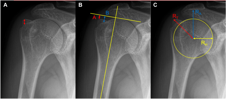 Figure 5