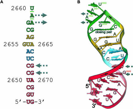 FIGURE 1.