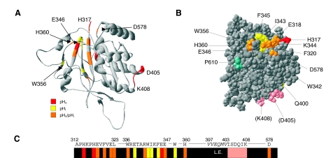 Fig. 3.