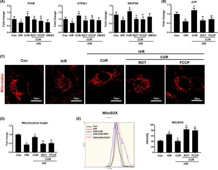 FIGURE 3