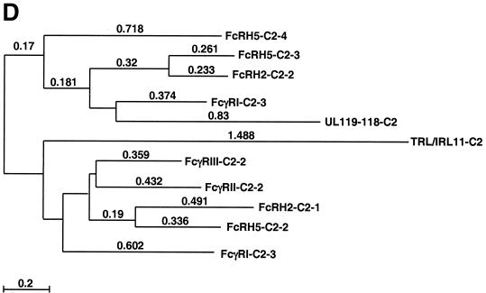 FIG. 8.