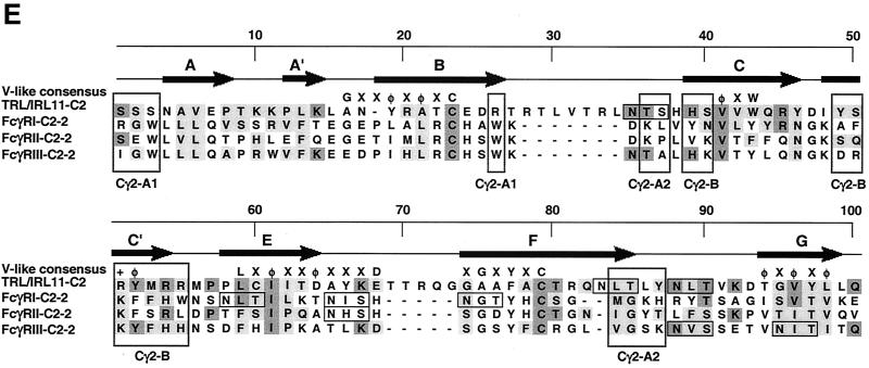 FIG. 8.