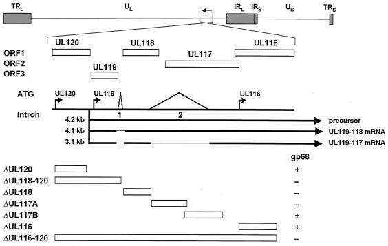 FIG. 5.