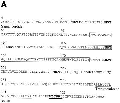 FIG. 8.