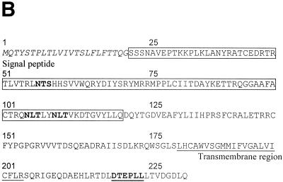 FIG. 8.