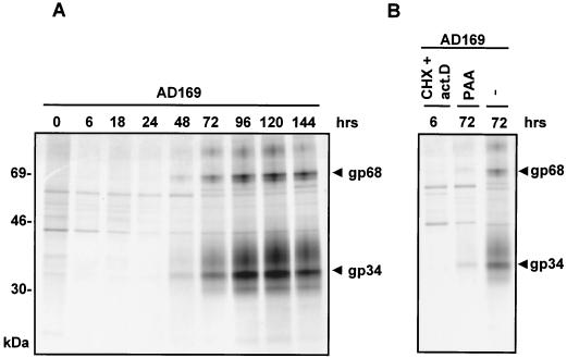 FIG. 2.