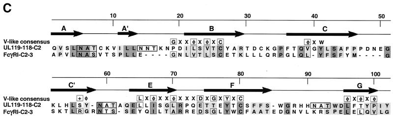 FIG. 8.