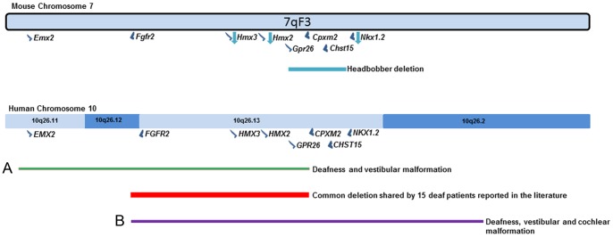 Figure 10