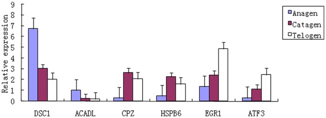 Figure 6