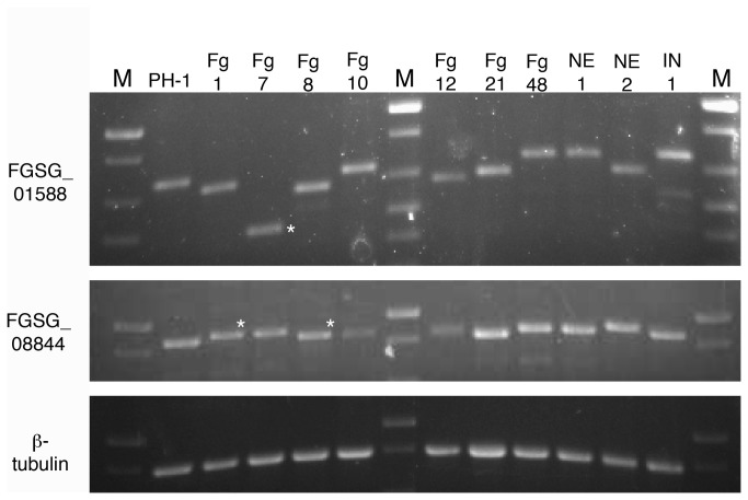 Figure 9