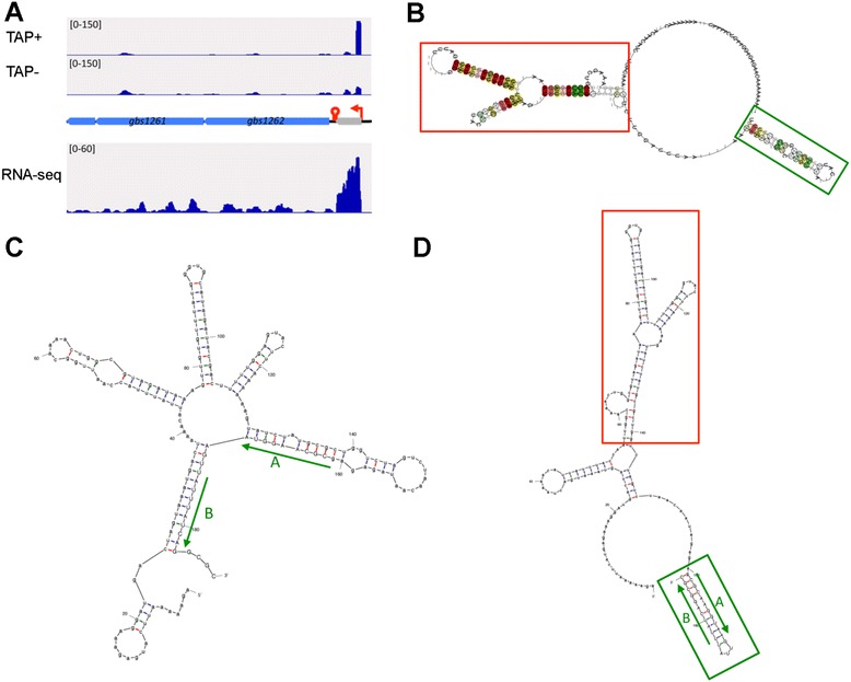 Figure 5